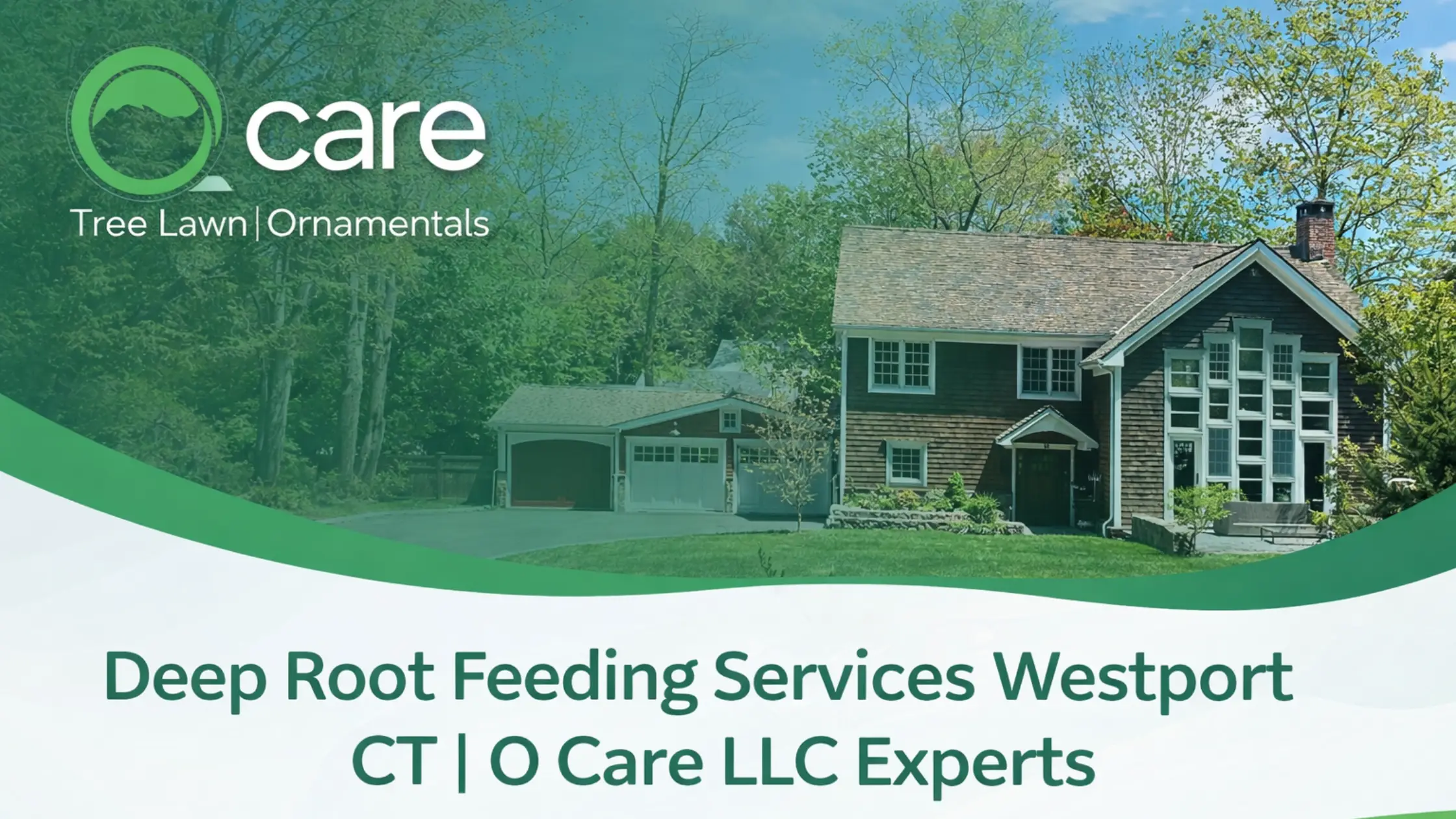 Deep Root Feeding Services Westport CT | O Care LLC Experts