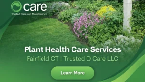 Plant Health Care Services Fairfield CT | Trusted O Care LLC
