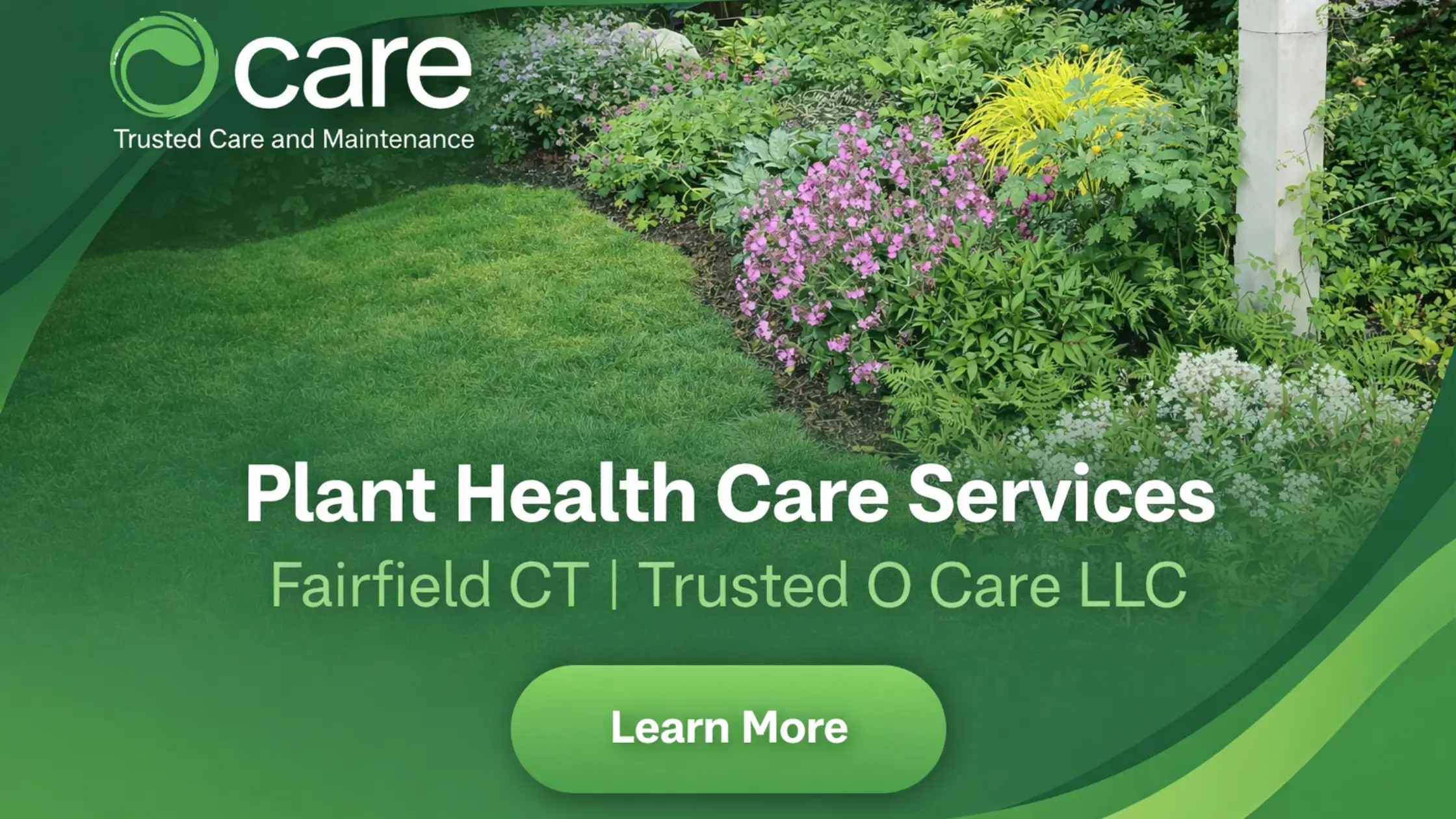 Plant Health Care Services Fairfield CT | Trusted O Care LLC