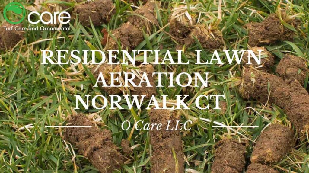 Residential Lawn Aeration Norwalk CT
