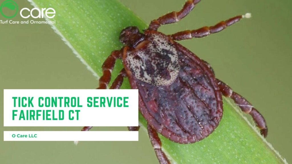 Tick Control Service Fairfield CT