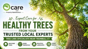 Tree care specialists near Trumbull CT