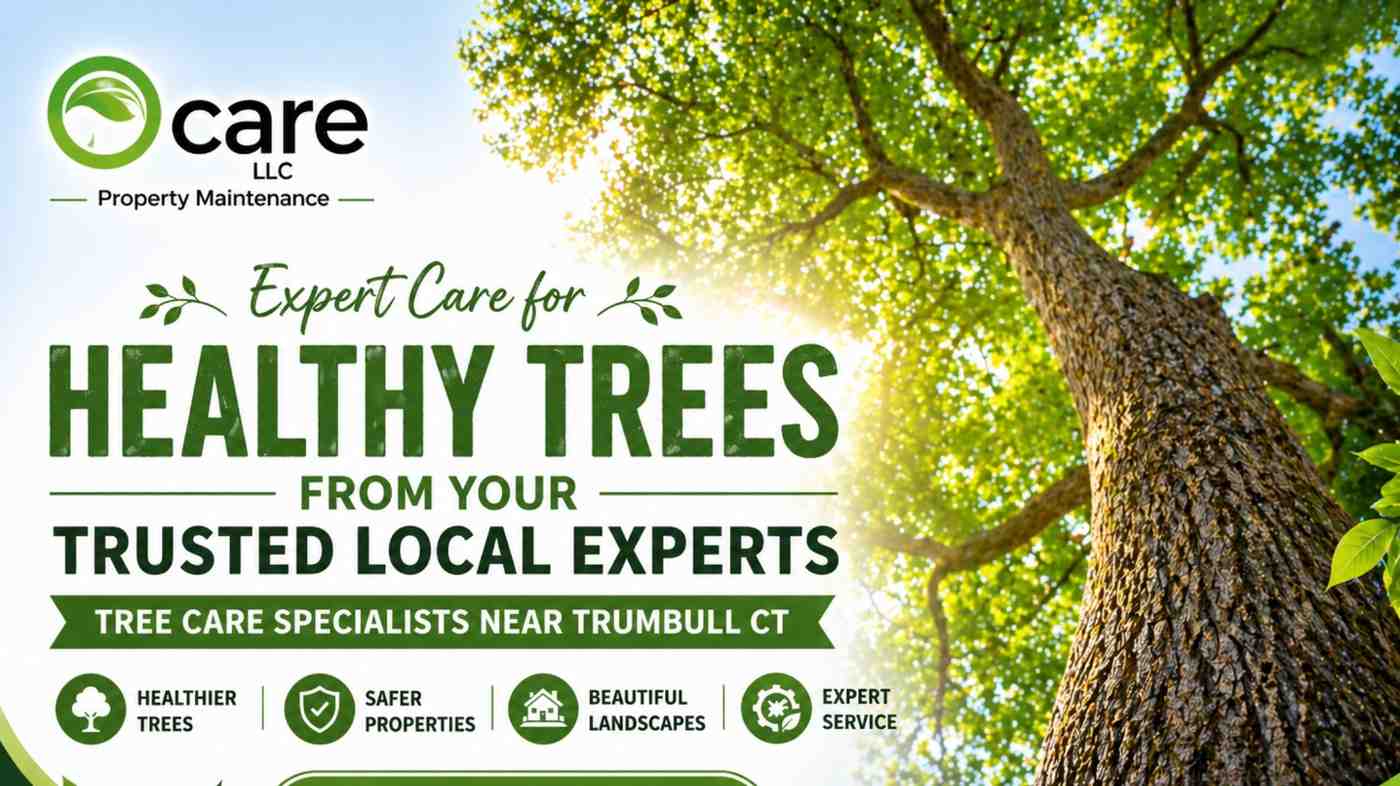 Tree care specialists near Trumbull CT