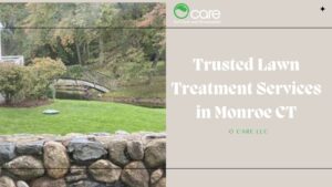 Lawn Treatment Services in Monroe CT