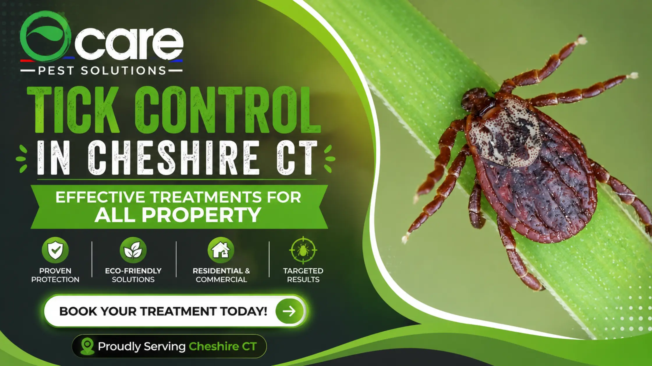 Tick Control in Cheshire CT | Effective Treatments for All Property