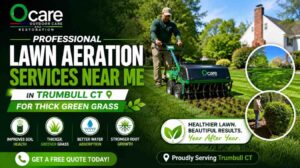 Professional Lawn Aeration Services Near Me in Trumbull CT