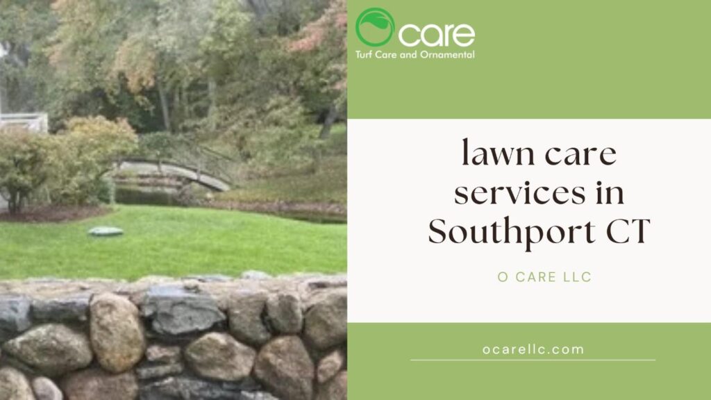 Lawn Care Services in Southport