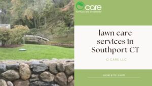 Lawn Care Services in Southport