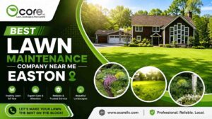 Best Lawn Maintenance Company Near Me Easton