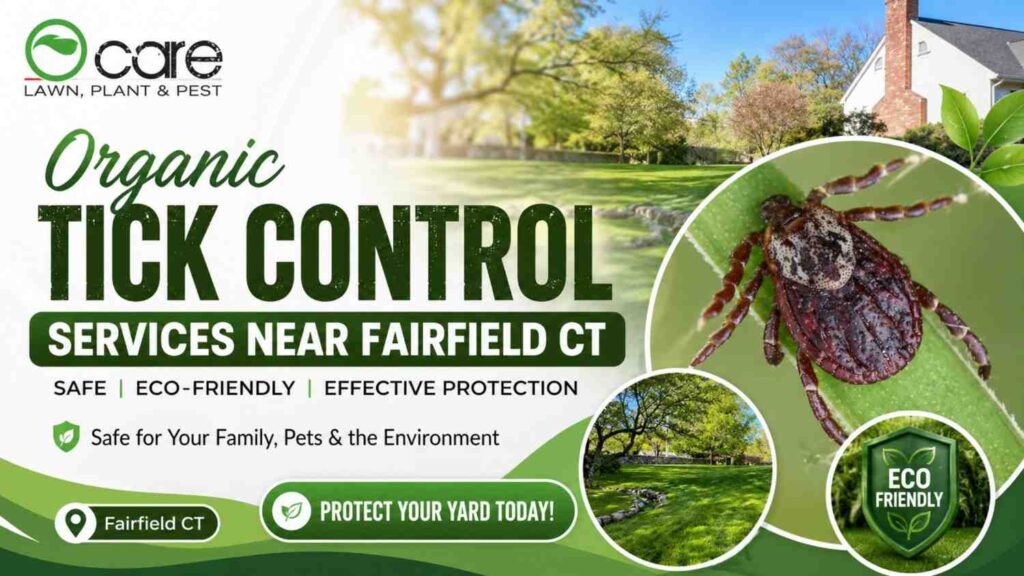 Organic Tick Control Services Near Fairfield CT | Safe & Eco-Friendly Yard Protection