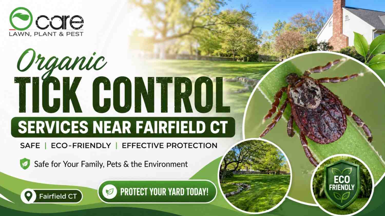 Organic Tick Control Services Near Fairfield CT | Safe & Eco-Friendly Yard Protection