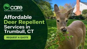 Affordable Deer Repellent Services in Trumbull, CT
