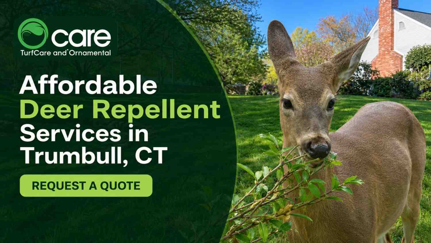 Affordable Deer Repellent Services in Trumbull, CT