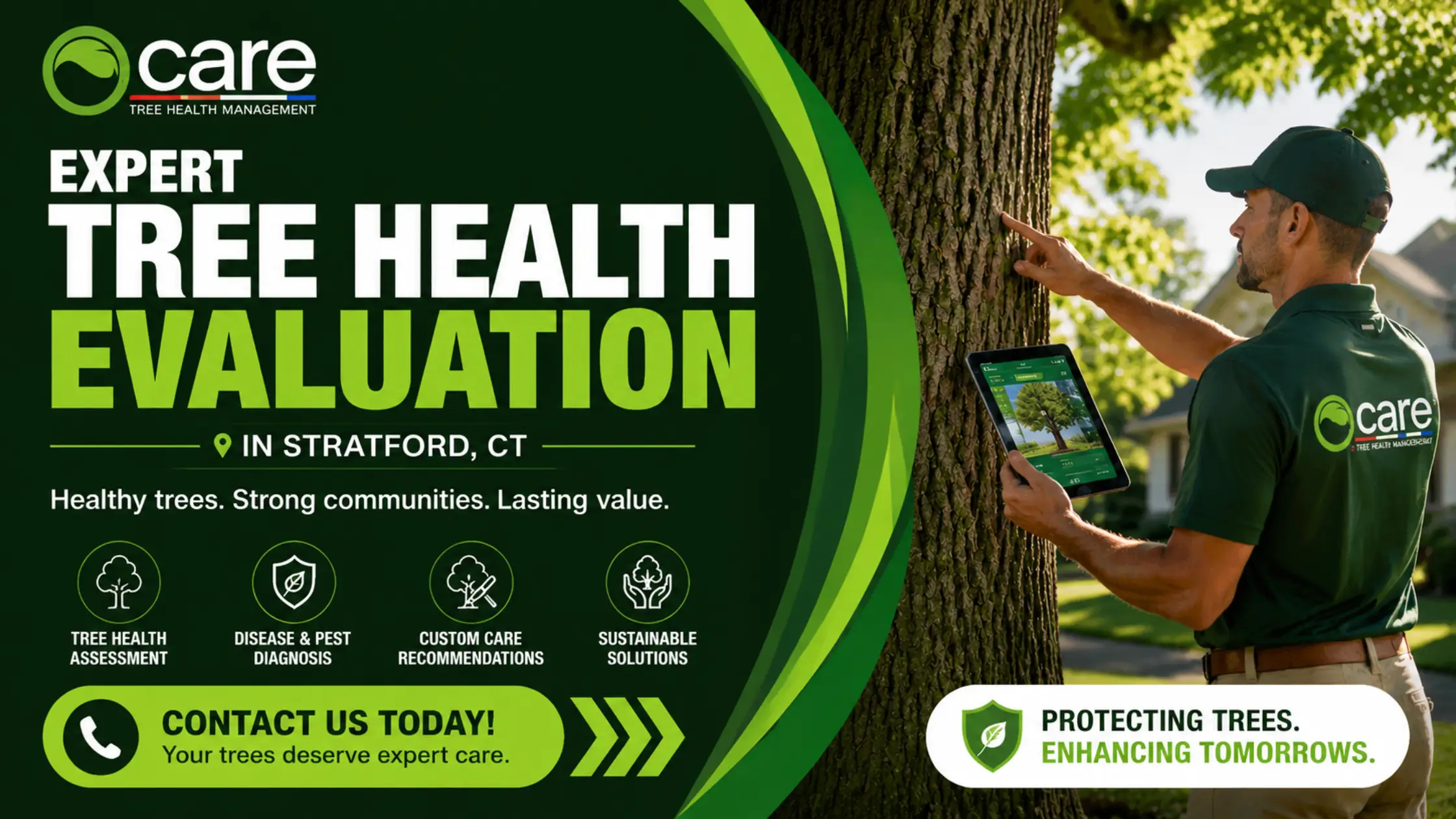 Expert Tree Health Evaluation in Stratford, CT - Contact Us Today