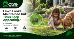 Ticks in maintained Fairfield lawn